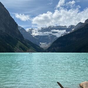 Meet your Posher, Daisy